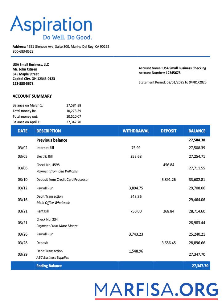 Realistic USA Aspirationfirm account statement Word and PDF template